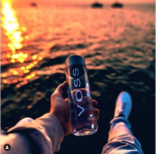 VOSS Artesian water (Still) Bottle,16.91 Fl Oz (Pack of 24)