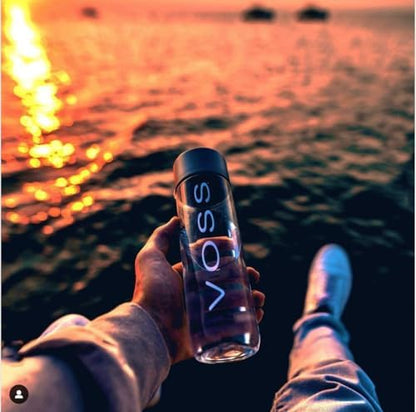 VOSS Artesian water (Still) Bottle,16.91 Fl Oz (Pack of 24)