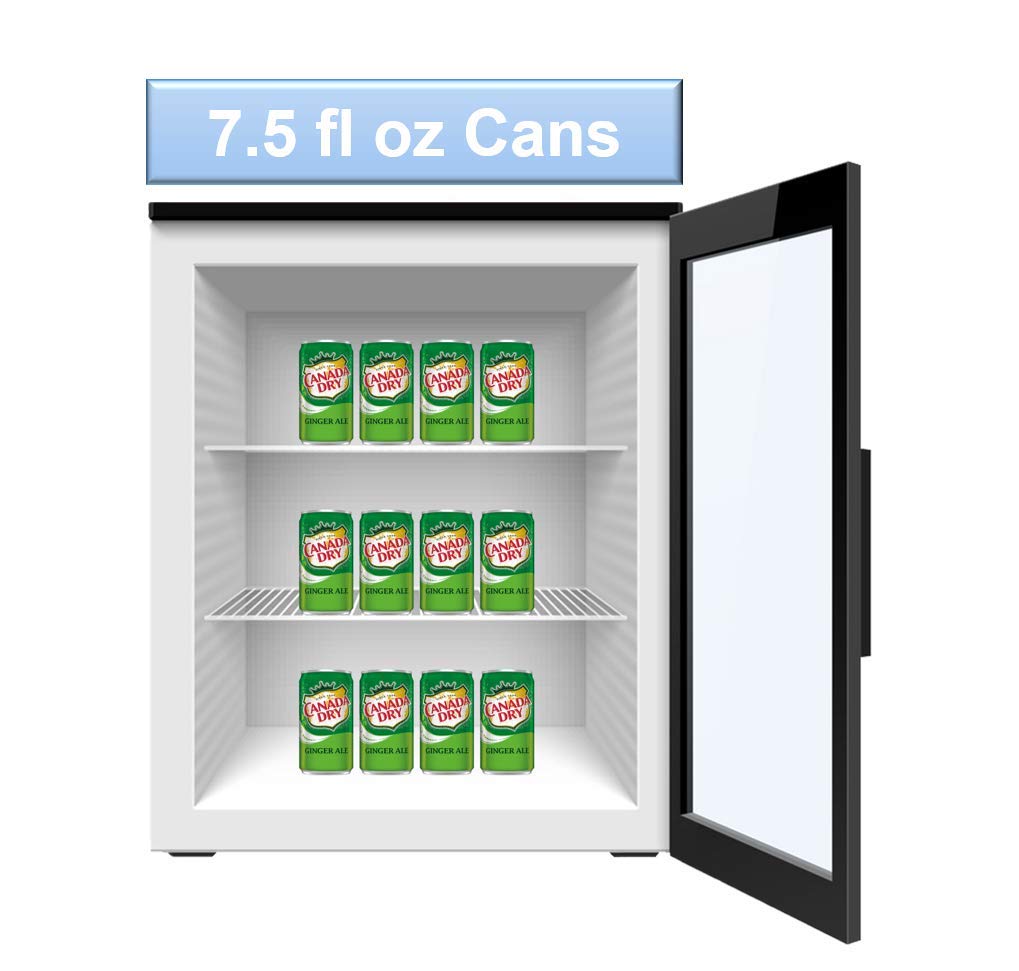 Ginger Ale Mini Soda Cans, 7.5 oz Soft Drinks Bulk Snacks Pack, Small Refrigerator & Snack Pantry Drink 12 Count Beverage Kitchen Supplies