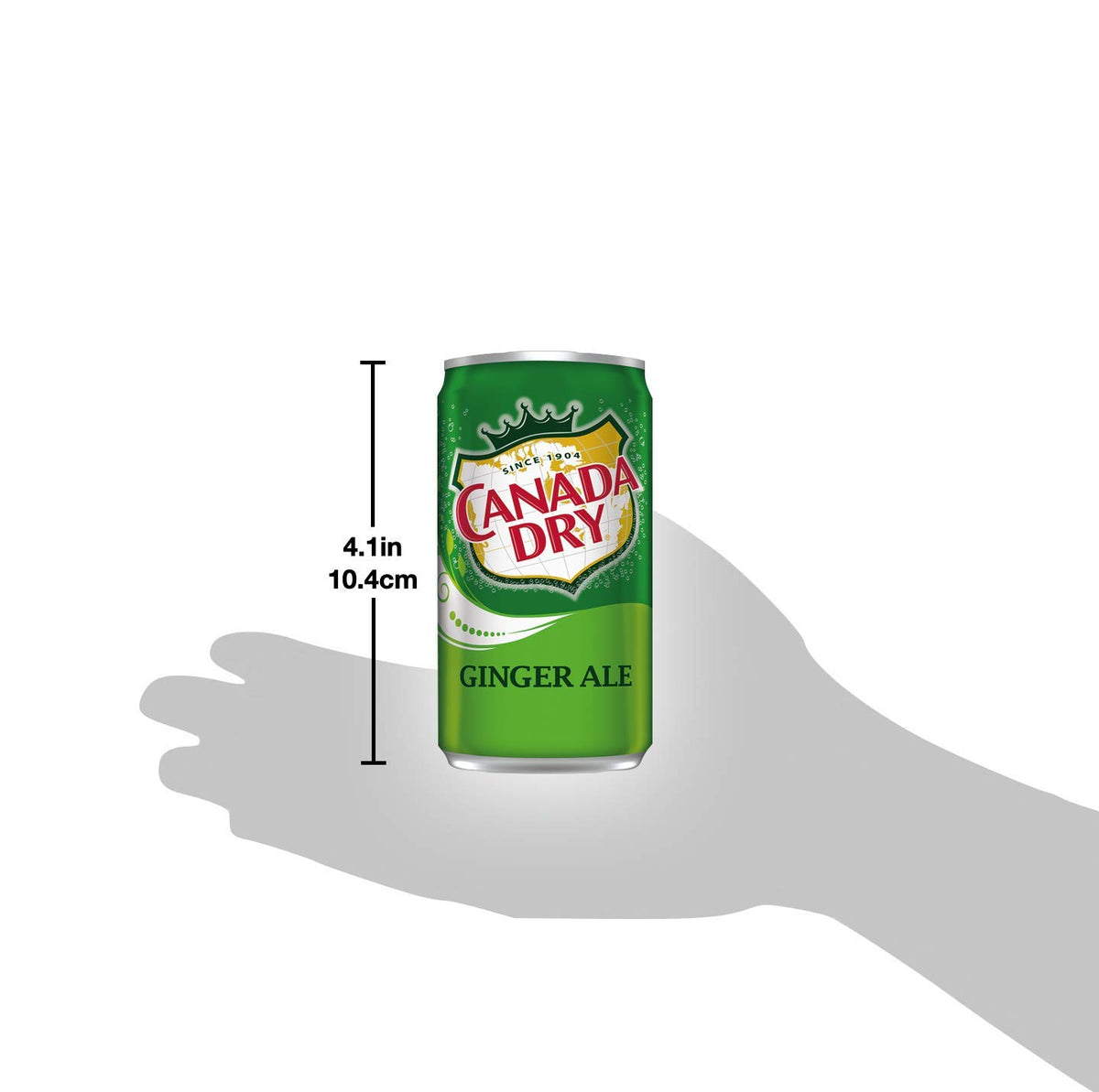 Ginger Ale Mini Soda Cans, 7.5 oz Soft Drinks Bulk Snacks Pack, Small Refrigerator & Snack Pantry Drink 12 Count Beverage Kitchen Supplies