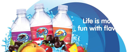 Fruit2O Zero Calorie Flavored Water Strawberry (6 bottles) | 0 calorie, 0 sugar, 0 carbohydrates, Natural flavor + Knoppers0.8oz