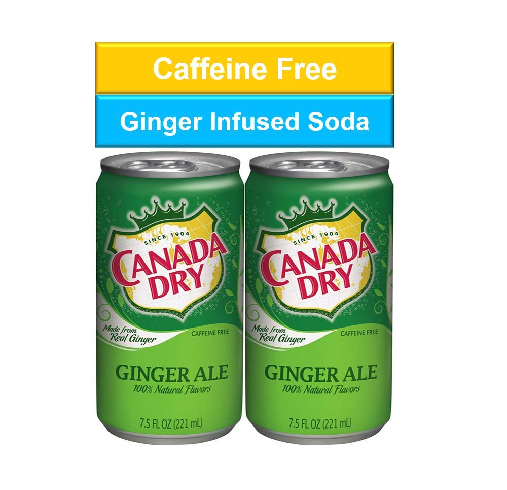 Ginger Ale Mini Soda Cans, 7.5 oz Soft Drinks Bulk Snacks Pack, Small Refrigerator & Snack Pantry Drink 12 Count Beverage Kitchen Supplies