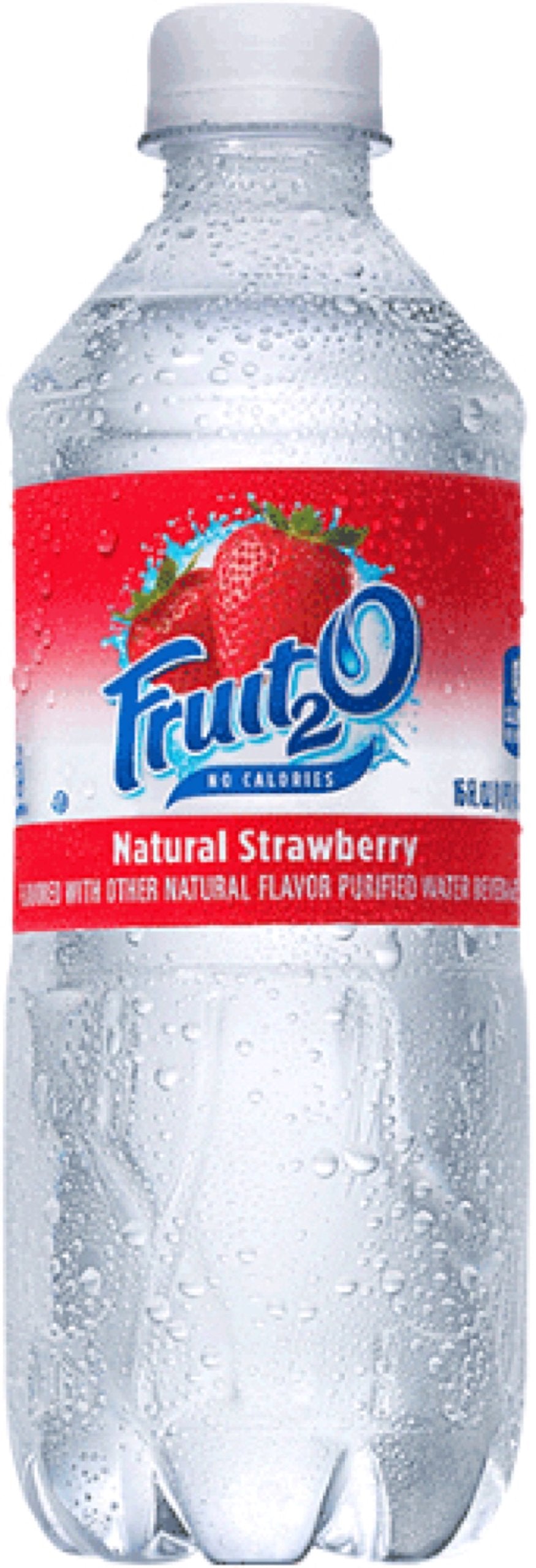 Fruit2O Strawberry Flavored Water, 16 Ounce, (24 Bottles)