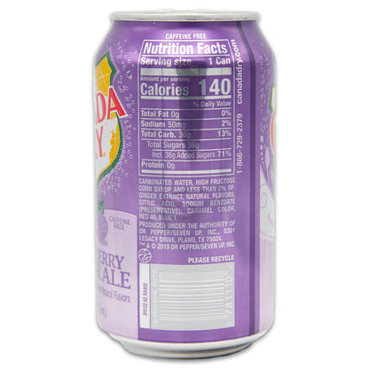Blackberry Ginger Ale Bundle - Includes 20 Blackberry Ginger Ale cans of 12 oz each by Canada dry Ginger Ale - Ginger Ale Soda Bundle by Despensa Colombiana (Pack of 20 Cans of Blackberry Ginger Ale, 12 Fl Oz each)