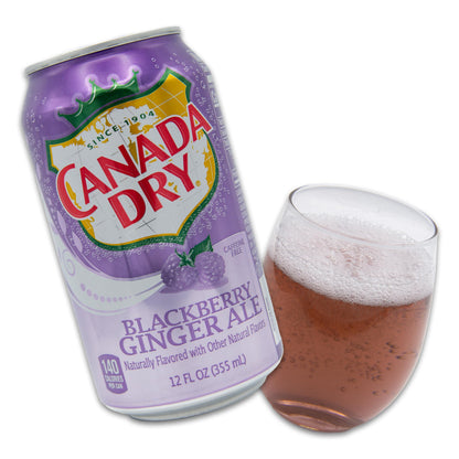 Blackberry Ginger Ale Bundle - Includes 20 Blackberry Ginger Ale cans of 12 oz each by Canada dry Ginger Ale - Ginger Ale Soda Bundle by Despensa Colombiana (Pack of 20 Cans of Blackberry Ginger Ale, 12 Fl Oz each)