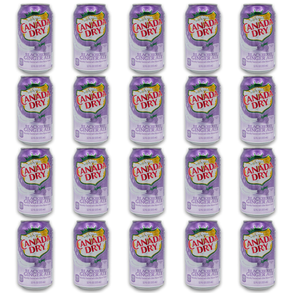 Blackberry Ginger Ale Bundle - Includes 20 Blackberry Ginger Ale cans of 12 oz each by Canada dry Ginger Ale - Ginger Ale Soda Bundle by Despensa Colombiana (Pack of 20 Cans of Blackberry Ginger Ale, 12 Fl Oz each)