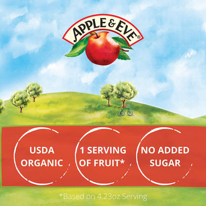 Apple & Eve Sesame Street Organics, Big Bird's Apple Juice, 4.23 Fluid oz, 40 count