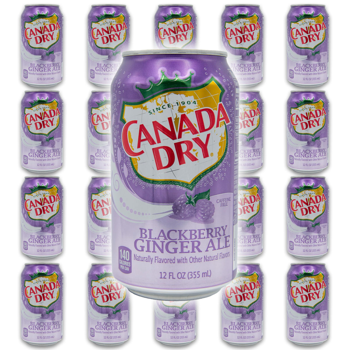 Blackberry Ginger Ale Bundle - Includes 20 Blackberry Ginger Ale cans of 12 oz each by Canada dry Ginger Ale - Ginger Ale Soda Bundle by Despensa Colombiana (Pack of 20 Cans of Blackberry Ginger Ale, 12 Fl Oz each)