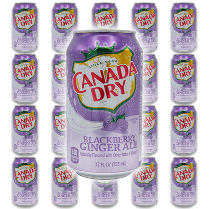 Blackberry Ginger Ale Bundle - Includes 20 Blackberry Ginger Ale cans of 12 oz each by Canada dry Ginger Ale - Ginger Ale Soda Bundle by Despensa Colombiana (Pack of 20 Cans of Blackberry Ginger Ale, 12 Fl Oz each)